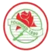 Adamstown Rosebuds