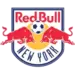 New York Red Bulls