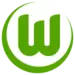 VfL Wolfsburg