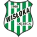 Wisłoka Dębica