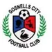 Gosnells City