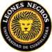 Leones Negros UDG