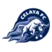 Celaya