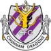 Jeonnam Dragons