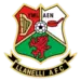 llanelli AFC