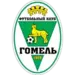 FC Gomel