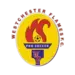 Westchester Flames