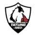 Tatung