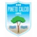 Pineto